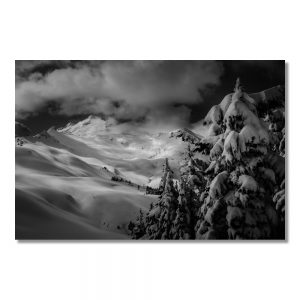 Lush Winter World